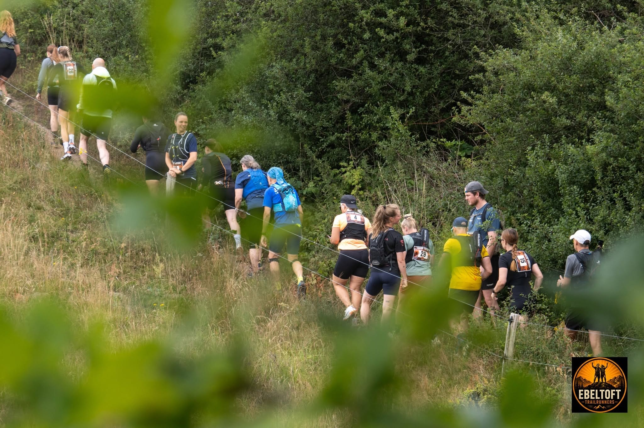 Løbere krydser gennem tæt underskov på Bjergetapens trailsti i Mols Bjerge